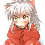 瞌睡莲莲