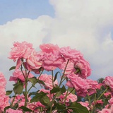 小滿