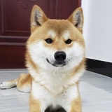 xddxd