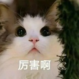 姜津津