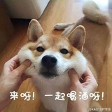 卷啊卷