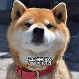 小楼听雨客