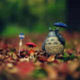 草履虫懒懒