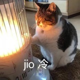 一颗装逼的豆
