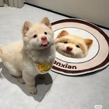 你是对的