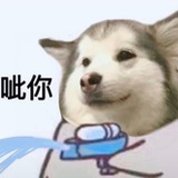 你在说森莫