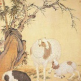 菰影