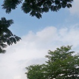 注销