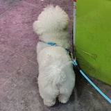 妙喵苗~
