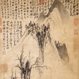 漂泊信天翁