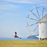 盛夏de晨微
