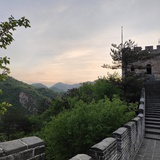 YY