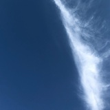 erslvn