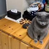 想吃冰西瓜