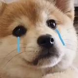 咕噜