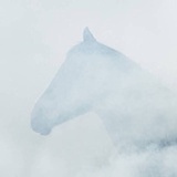 一眠