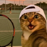 无敌纪录持有者