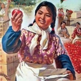 夏安安