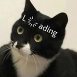 俊俊子
