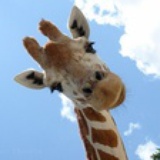 Yustian