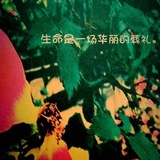 夏至未至