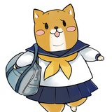 小柴犬儿贱贱地