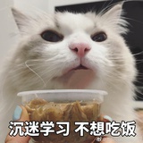 晗小乐的小饼干