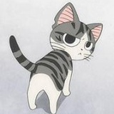 观海