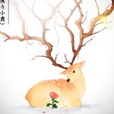 呦呦小鹿斑比