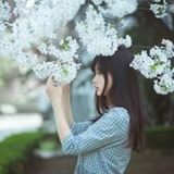 媚娘