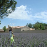 Amelie