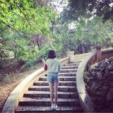 过季的摇