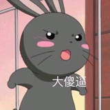 小萝卜兔