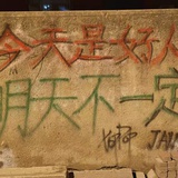 爱吃香菜