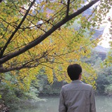 七七