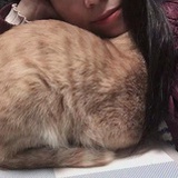 清泉