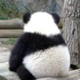 蓝色默默