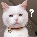 不存在的桃乐囍