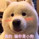 懵小梦