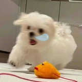 我太快乐了！！