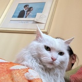 永远幻想上栈桥