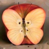 泡果果
