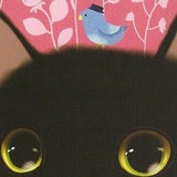 莎sa
