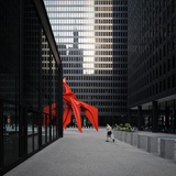 向Mr.C的下巴看齐