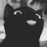 Miga