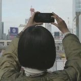 歌尽桃花