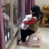 adaisy