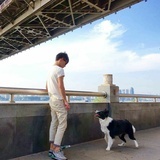 森泽先生