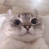 不好玩。