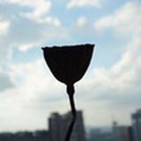 生活在别处